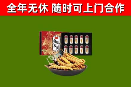 邳州市回收冬虫夏草价格